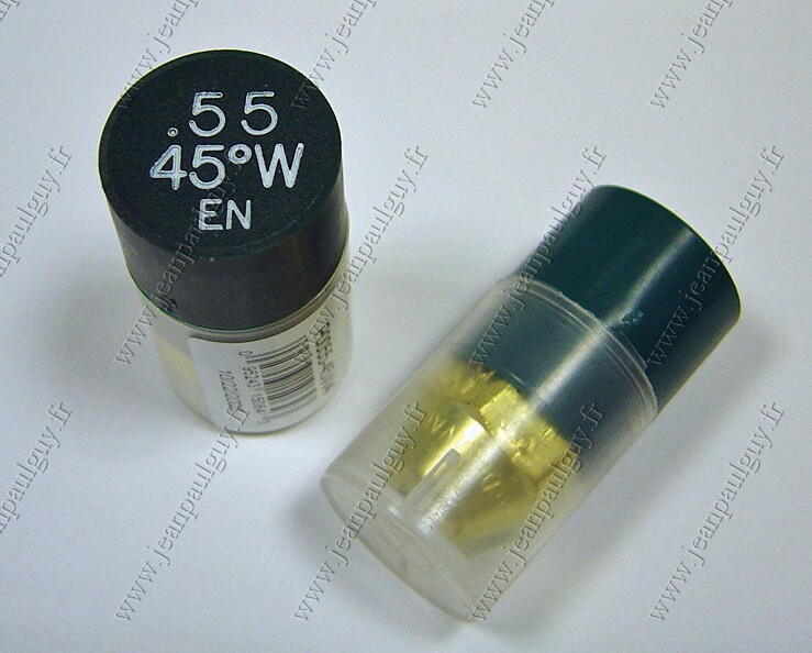 GICLEUR DELAVAN 0.55 US-GHP Angle 60° Cone W